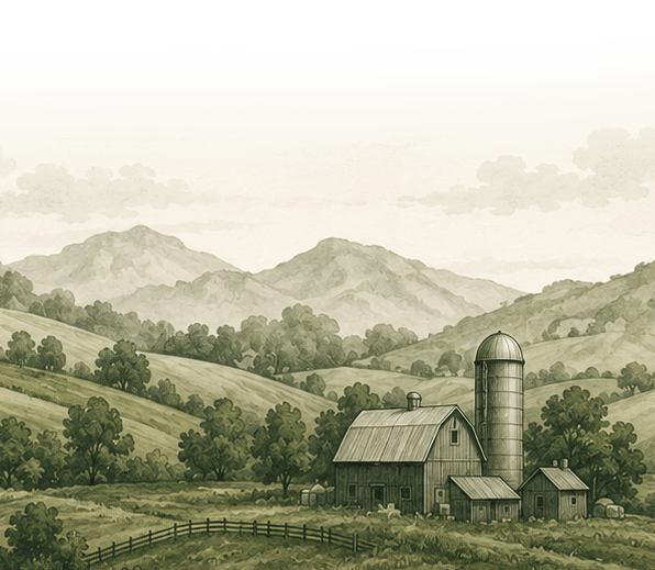 Footer Image