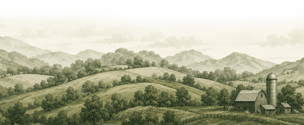 Footer Image